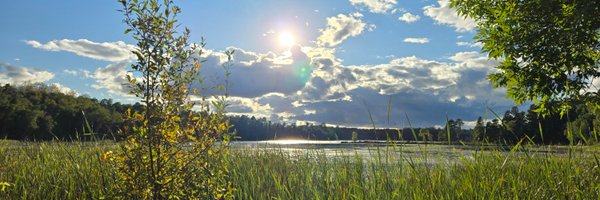 MW_Midwit Profile Banner