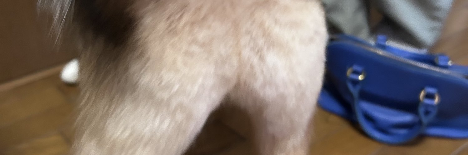 Machuu1225's profile banner image