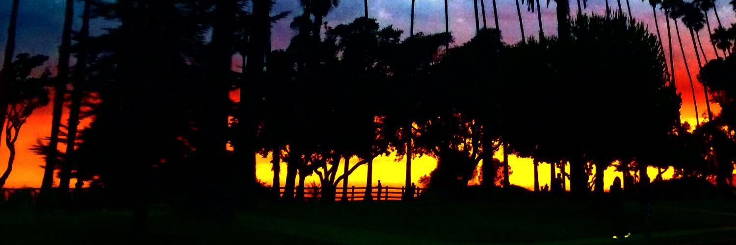 sincerelylizb's profile banner image