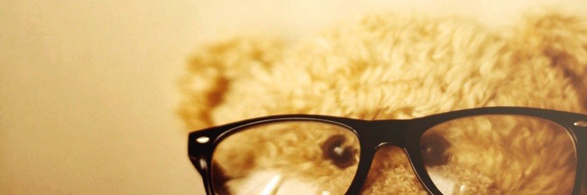 grizzly .ᐟ ֹ ₊ banner