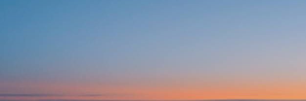 取引専用🎸🐈‍⬛ banner