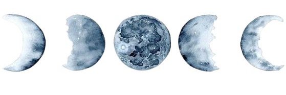 raa farm²⁶ 𝄞 banner