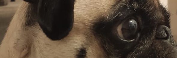 BolonVarela's profile banner image