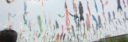 hama_taroh's profile banner image