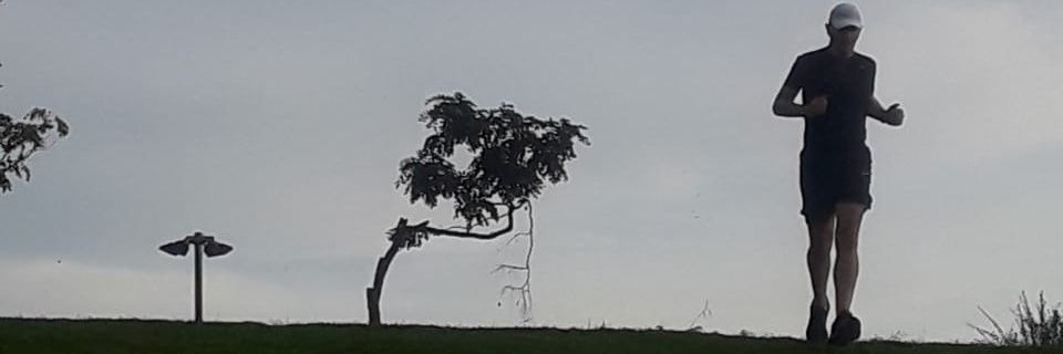 dmonticelli's profile banner image