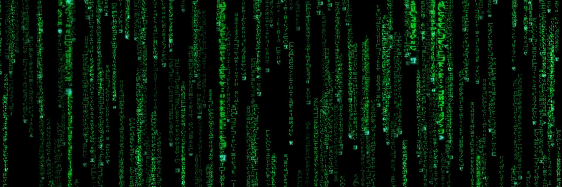 Michelle Espinoza banner