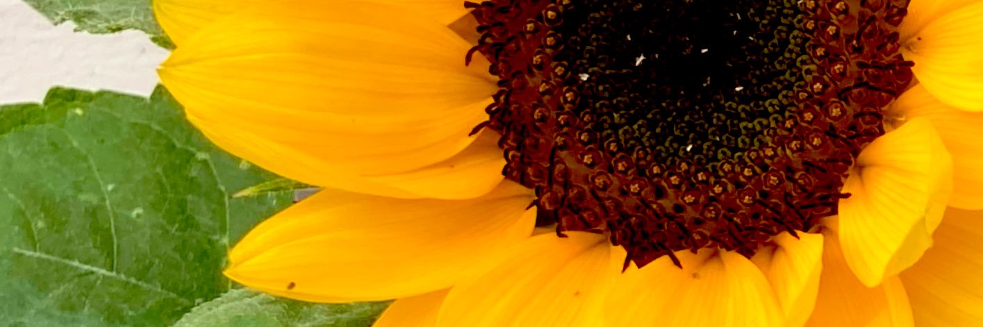 ma_tmgy's profile banner image