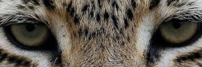 _aindiaa's profile banner image