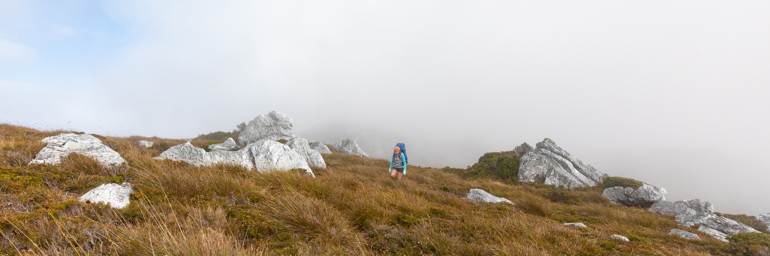 Dan Broun 🌲 banner