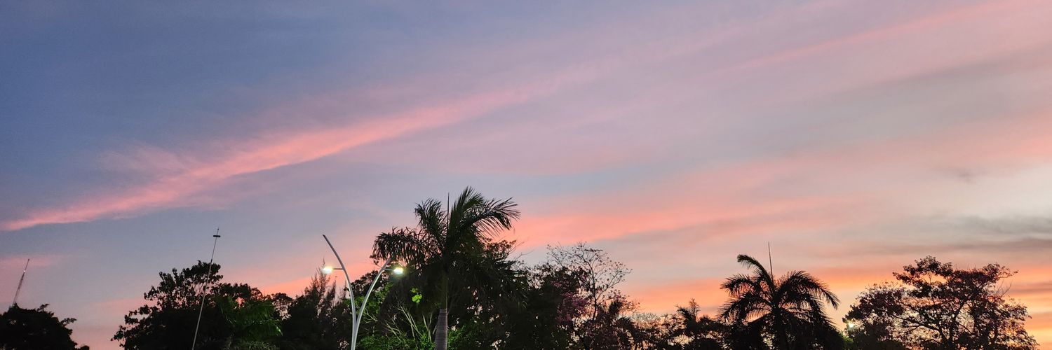 BillerDealer's profile banner image