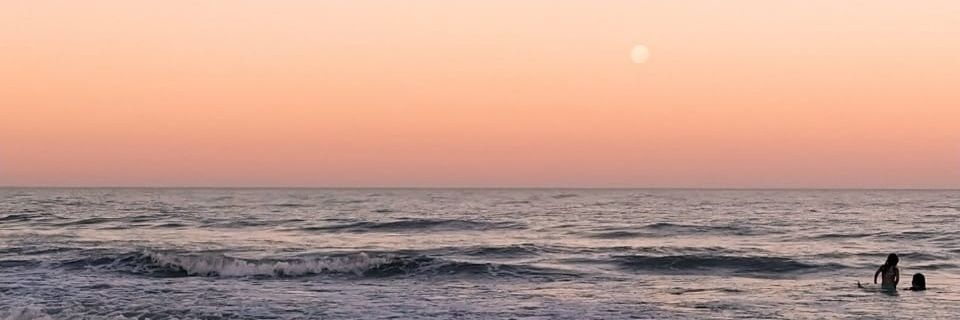 melupetrone's profile banner image