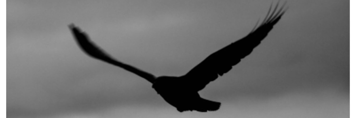 Andrew_Guy's profile banner image