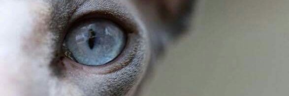 arruestedavid's profile banner image