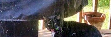 Bweinstein07's profile banner image