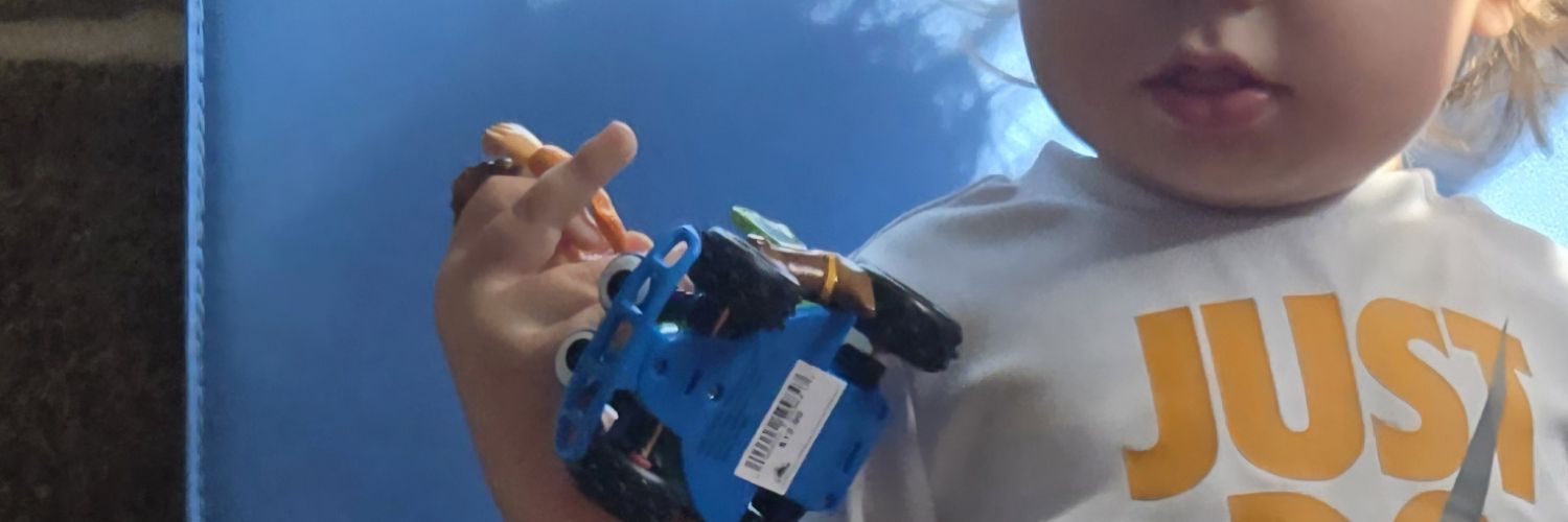 Smegsss's profile banner image