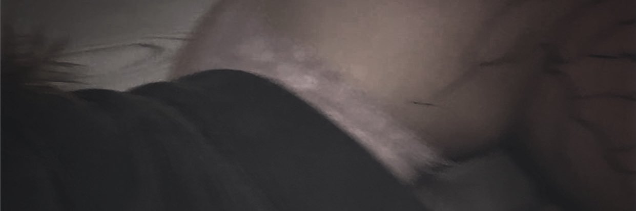 baileybugg03's profile banner image