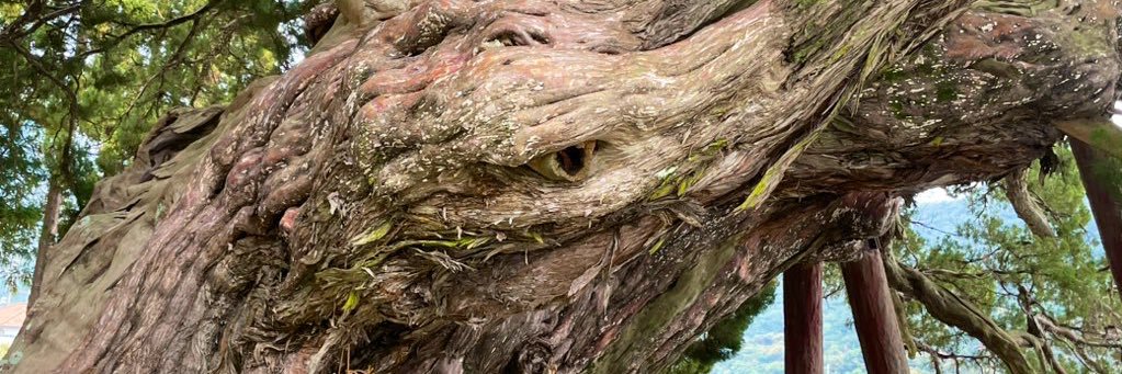 norawann's profile banner image