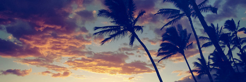 x_uh's profile banner image