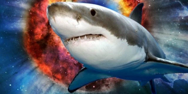 ElsieBlizzardd's profile banner image