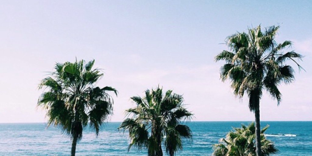 luberaldelli's profile banner image