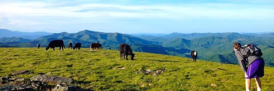 Michael Titus banner