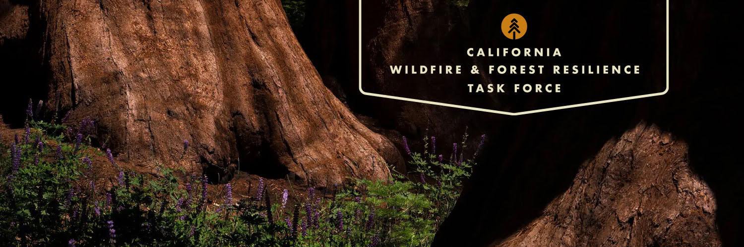 Patrick Wright banner