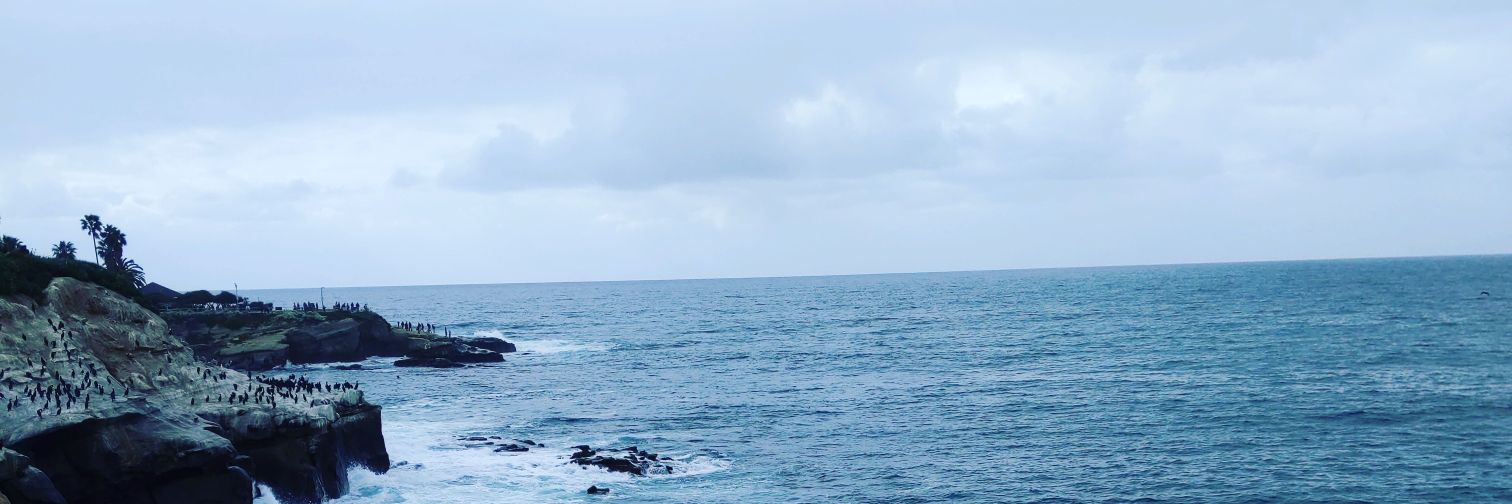 EL_GRINGO's profile banner image