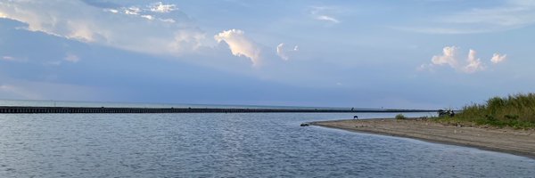 rachelnguyen97 Profile Banner