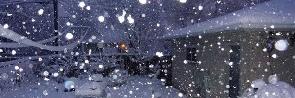 1225___tang Profile Banner