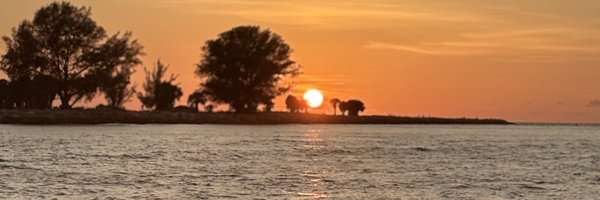 Whit3Rabbit06 Profile Banner