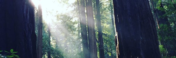 Sukii_desu Profile Banner