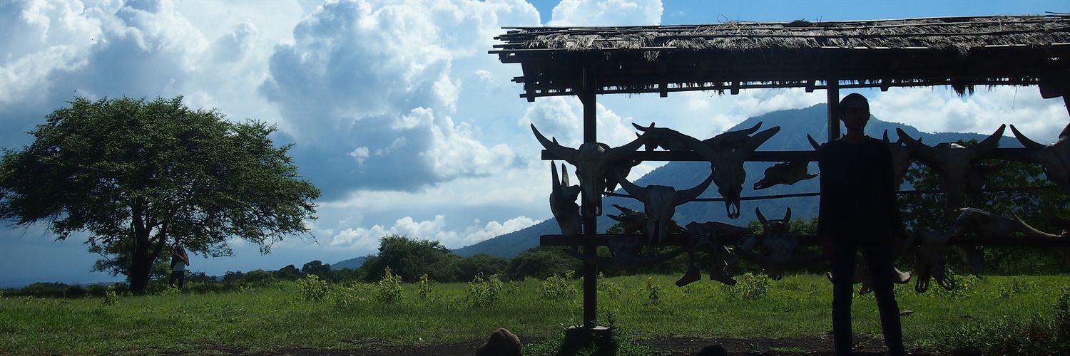 DedyLicek's profile banner image