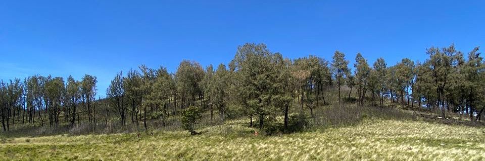 mra_dyh's profile banner image