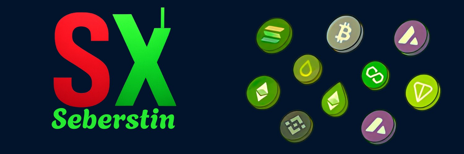 seberstin banner