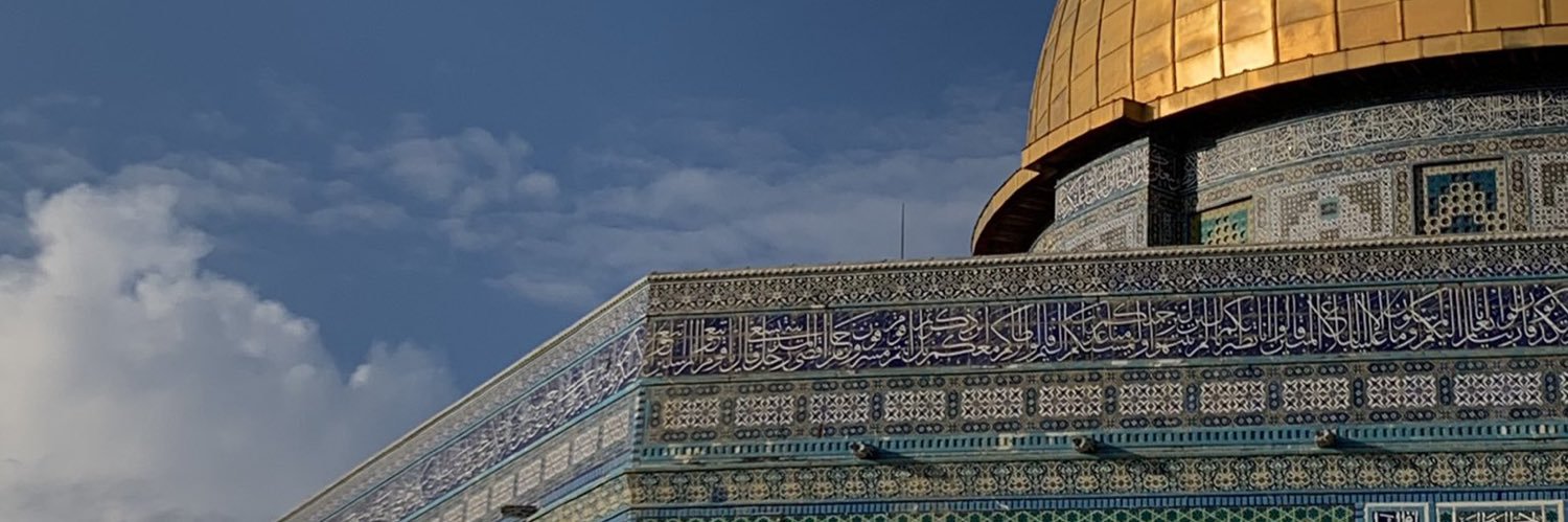 paliianaaa's profile banner image