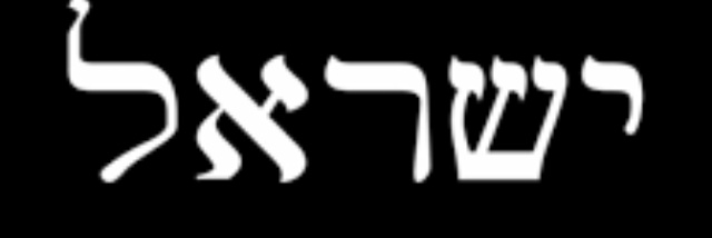Yurka banner