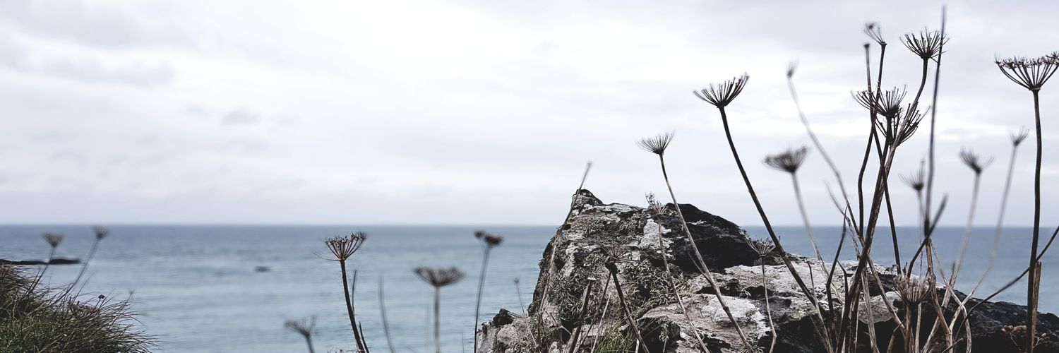 annamitchelson's profile banner image