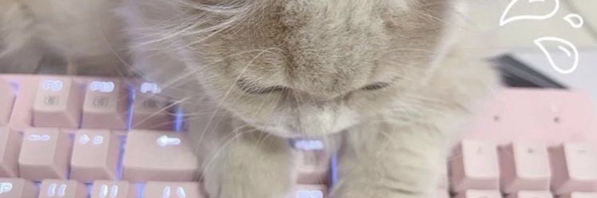 ニャチ banner