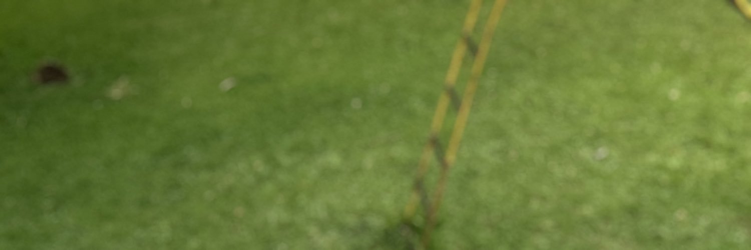 Surplus_eri's profile banner image