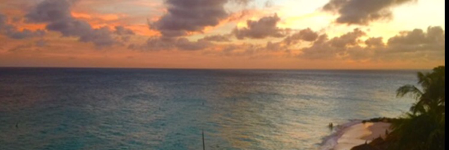 sylviabernalc's profile banner image