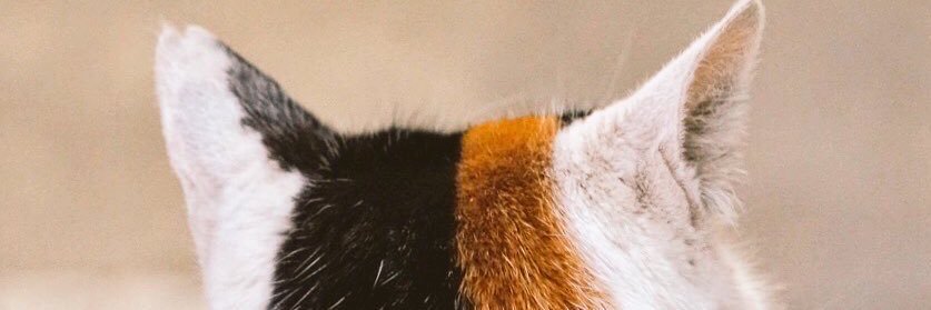 _25_24's profile banner image