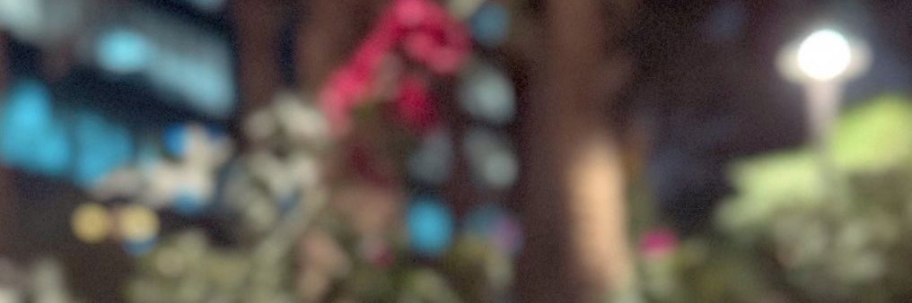 بدر علي banner