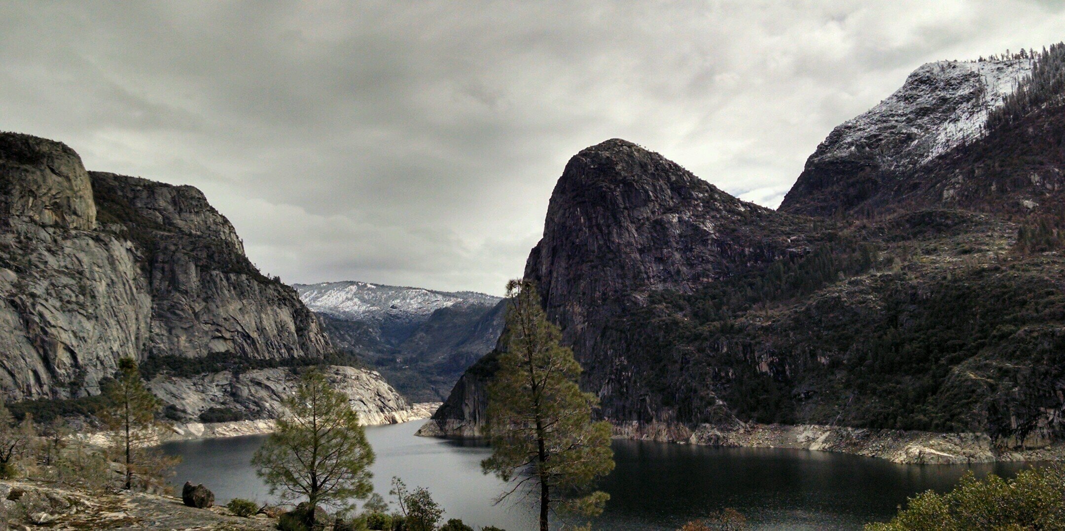 Geoffrey Papilion banner