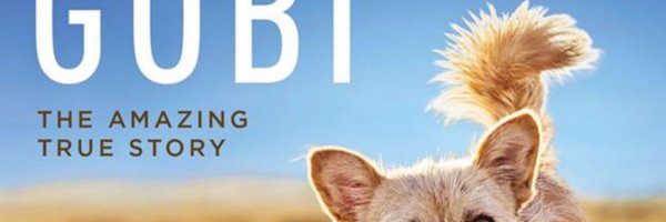 gobi Profile Banner