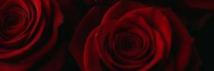 Rayan🦋🥀🦋 banner