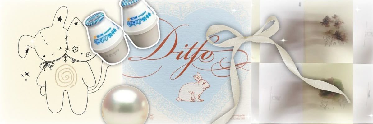 dm ʚїɞ banner