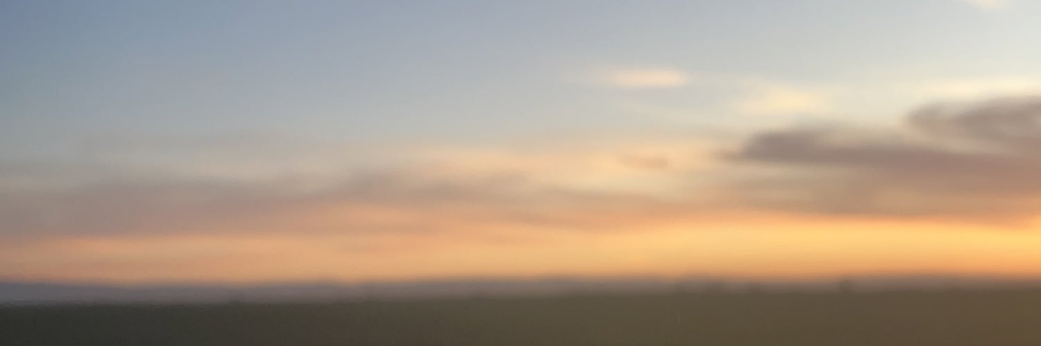 megaforeva's profile banner image