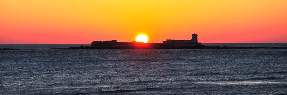 Archie Valparaiso banner