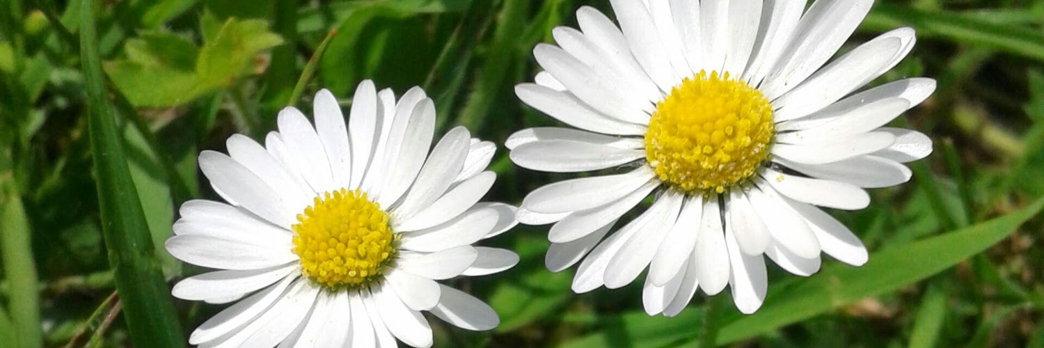JustineNemJones's profile banner image