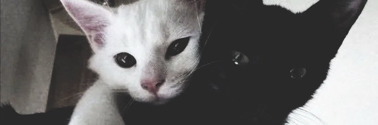 chan. banner